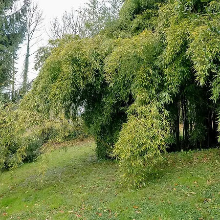Vakantiehuis La *