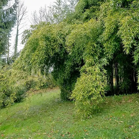La Viviers-du-Lac